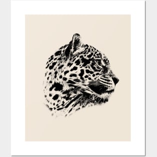 Jaguar Posters and Art